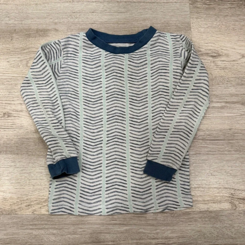 Burt's Bees Kids 2T Pajama Tops Set 2 Dinosaur Chevron Organic Cotton Blue Green